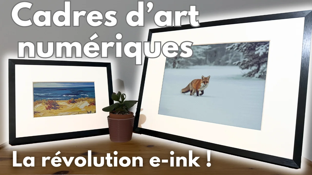 Switch Cadre d'Art Numérique