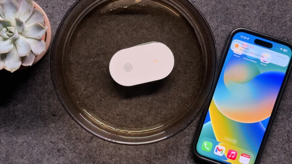 Une fois le détecteur de fuite dans l'eau, ça sonne et ça envoi une notification critique dans Apple Maison