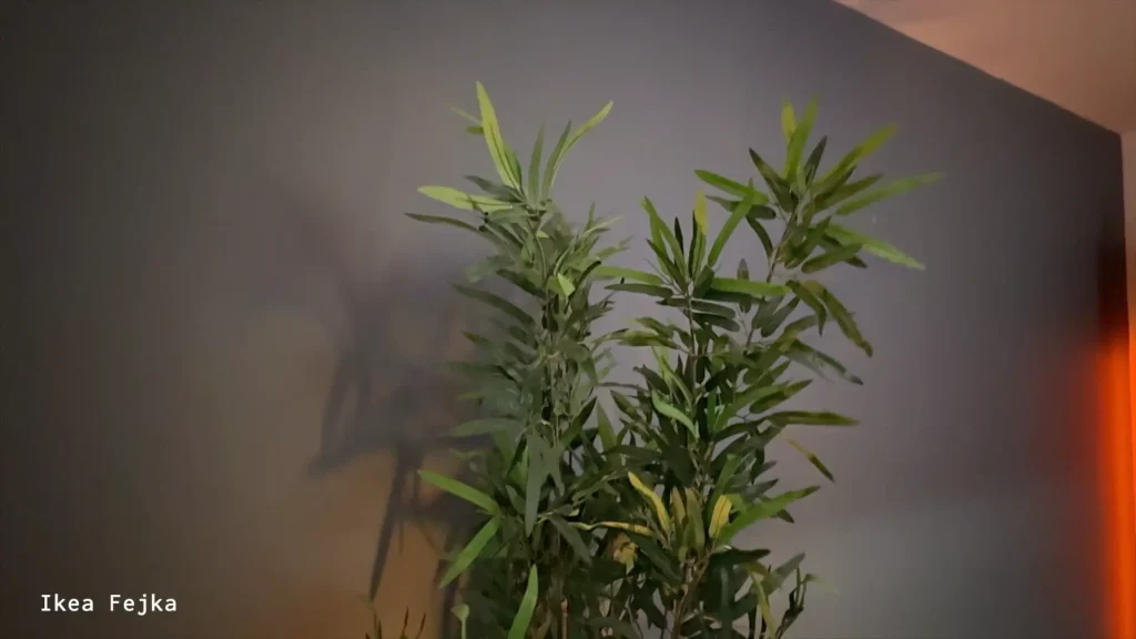 Une vraie fausse plante Ikea sur un mur sombre et mat pour l'arrière-plan de mes vidéos